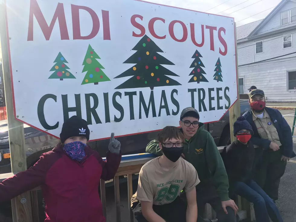 MDI  Scouts Selling Wreaths and Trees