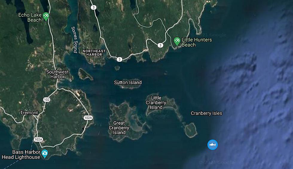 Charlotte the Great White Shark is Off Baker’s Island
