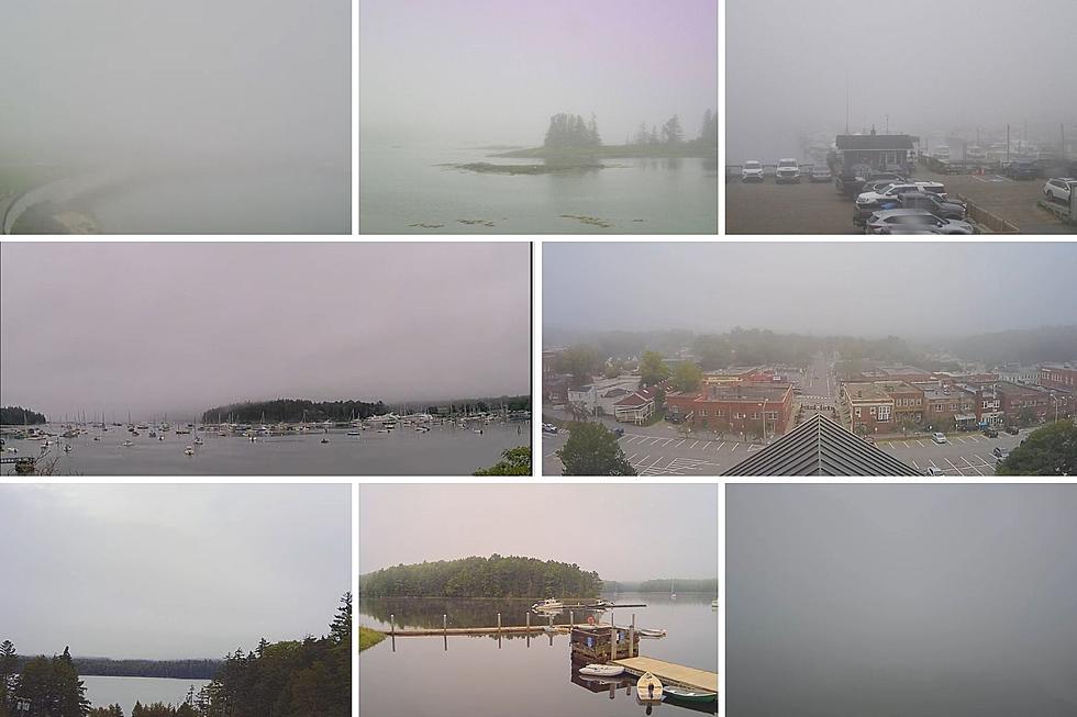 A Whip Around Downeast Maine Monday, August 2 [PHOTOS]
