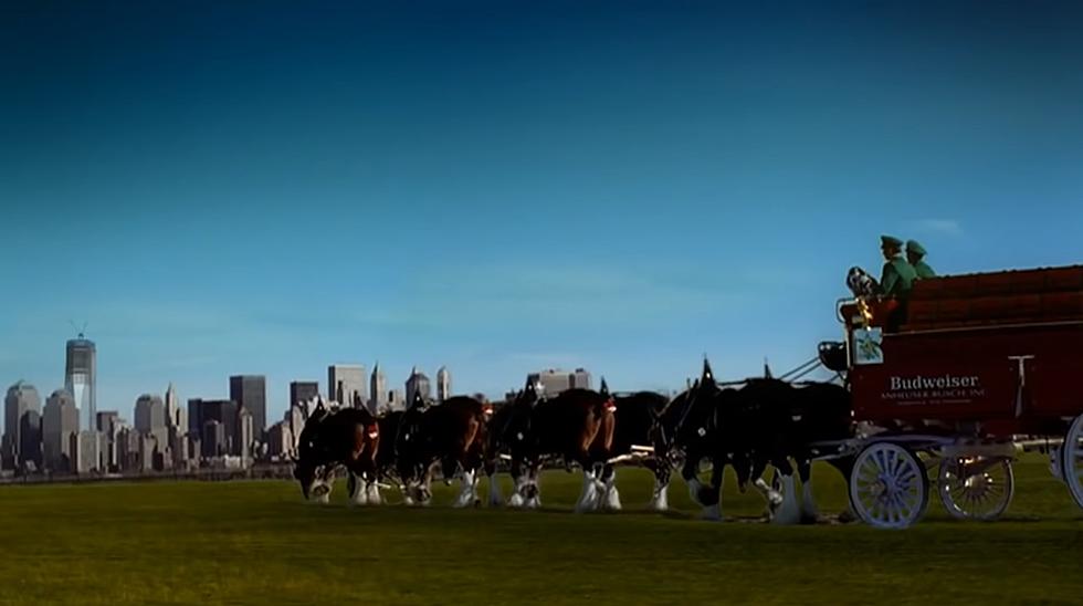 This Budweiser Commercial in Honor of 9-11 Aired Only 1 Time [VIDEO]