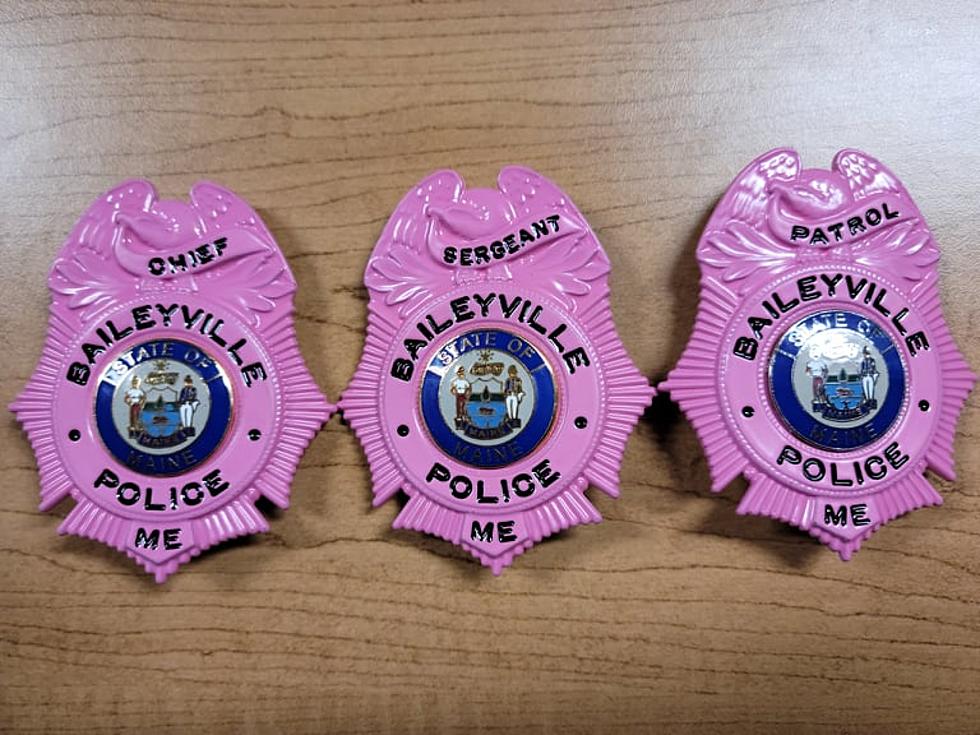 Baileyville Police Department Goes Pink for Breast Cancer Awareness Month