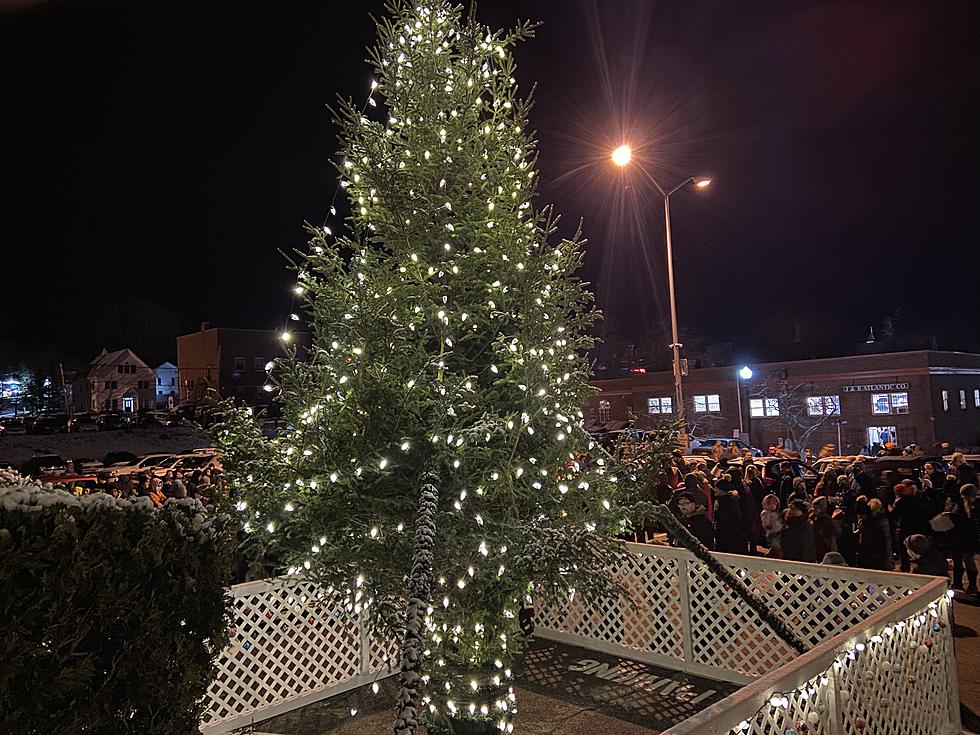 Ellsworth Christmas Tree Lighting [VIDEO and PHOTOS]