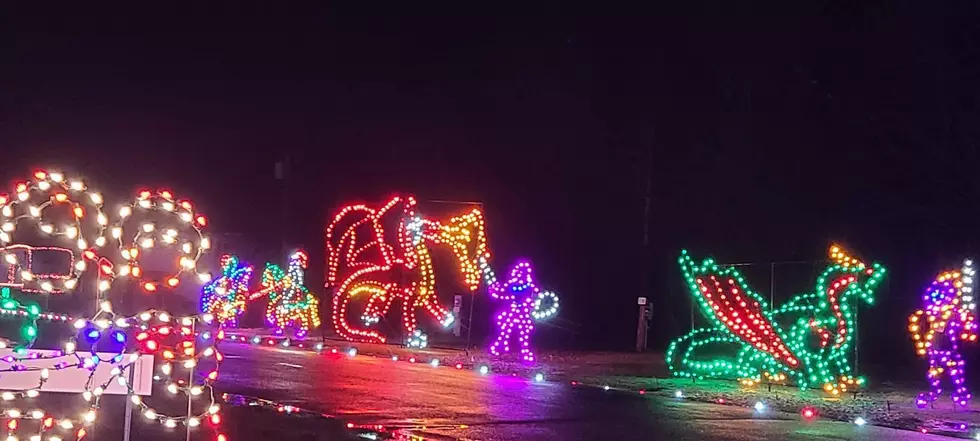 Acadia Light Show Open in Trenton through the End of the Year