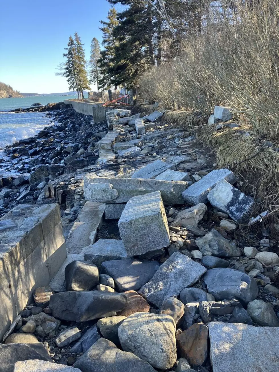 Interview with Kim Swan re: Village Improvement Association’s Fundraising Request for Shore Path Repairs [VIDEO]
