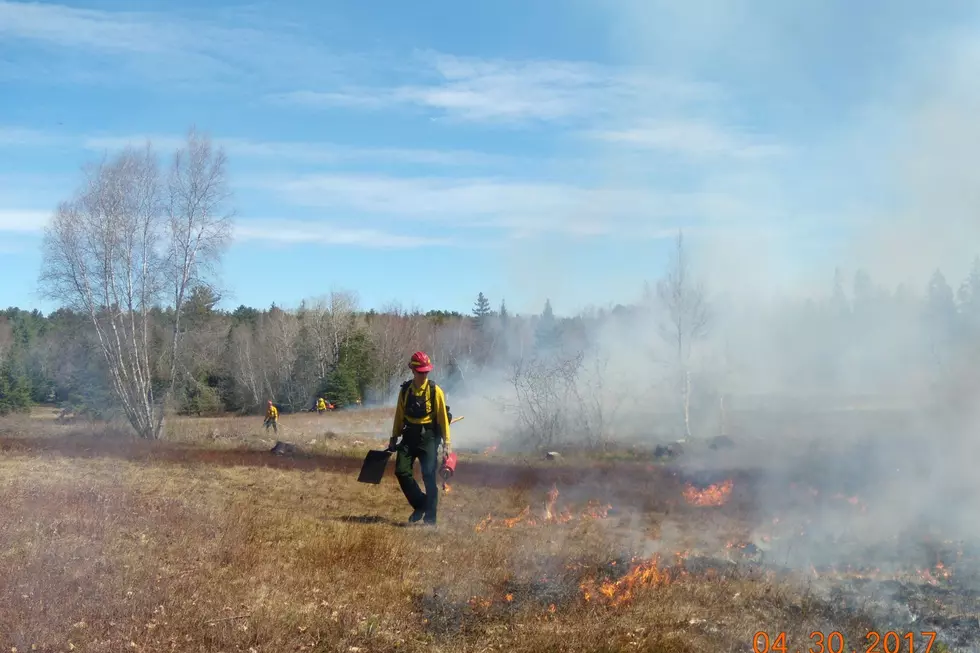Acadia National Park Plans Prescribed Burns Prior to May 10