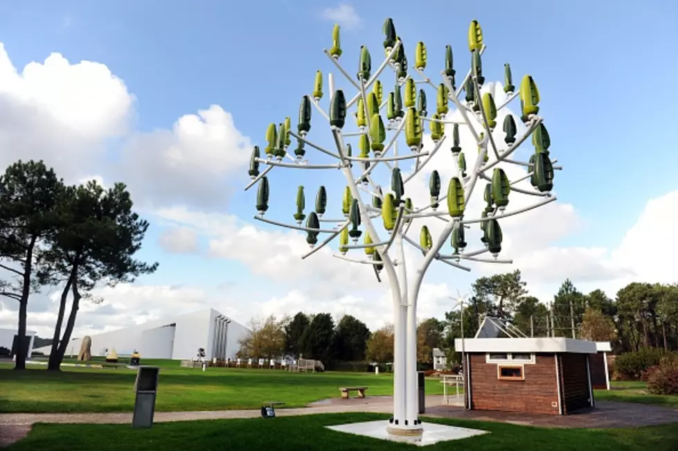 Wind Turbine That Looks Like A Tree Can Power Your Entire Home!