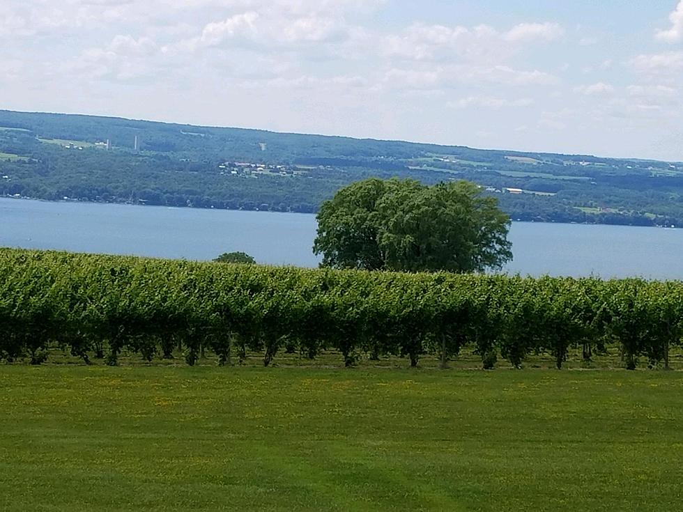 Need to Get Away? Take A Summertime Trip To The Finger Lakes