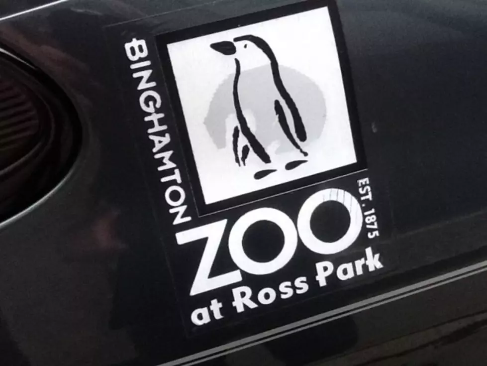 Broome County Native to Become Ross Park Zoo&#8217;s Latest Director