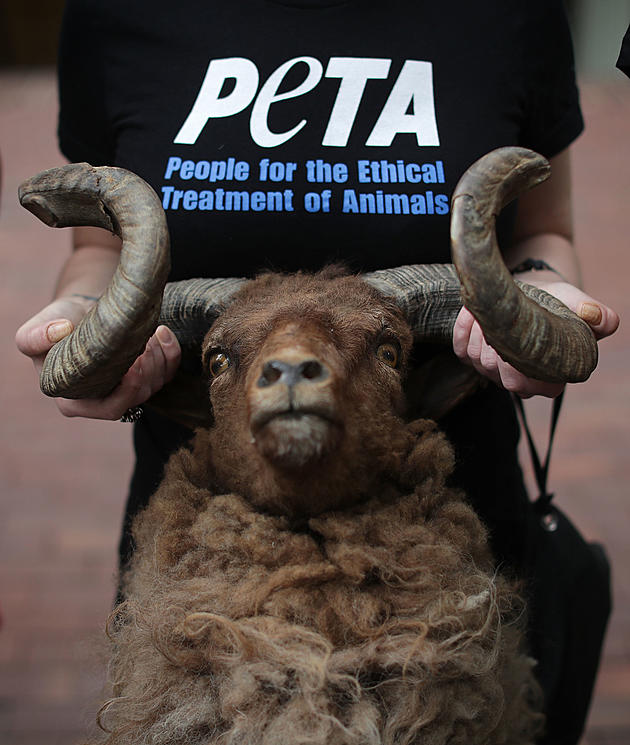 PETA Would Like You to Stop Saying These Sayings