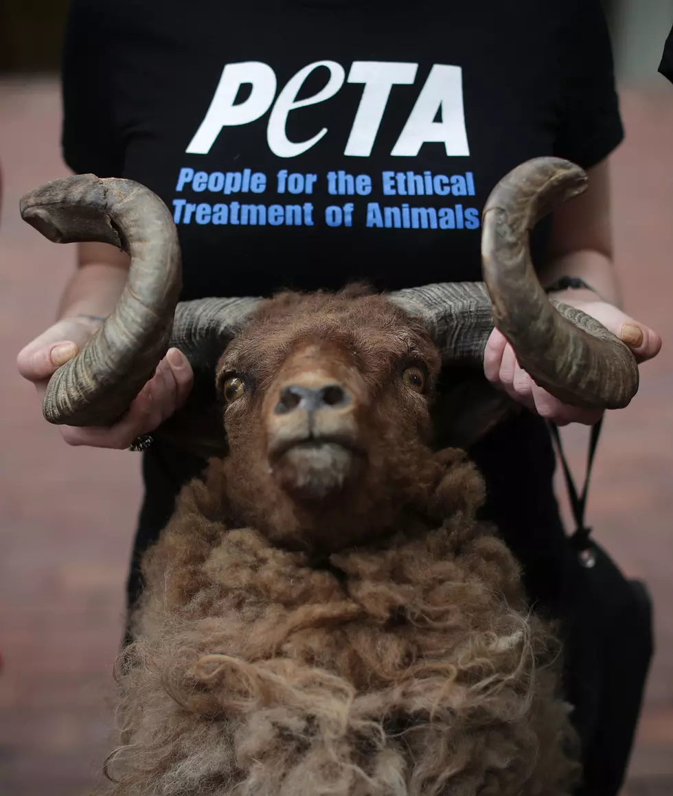 PETA Would Like You to Stop Saying These Sayings