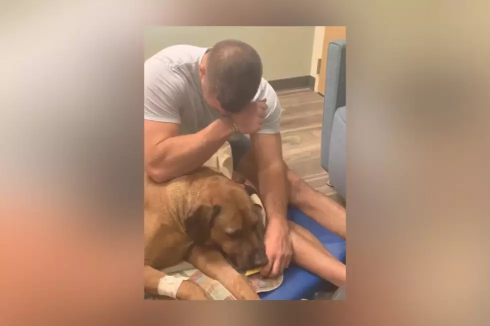 Tim Tebow Pens Emotional Farewell to His Longtime Dog [VIDEO]
