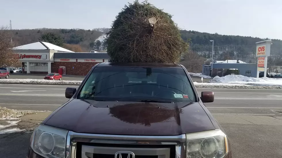 You Can Have Your Christmas Tree Delivered Free This Year