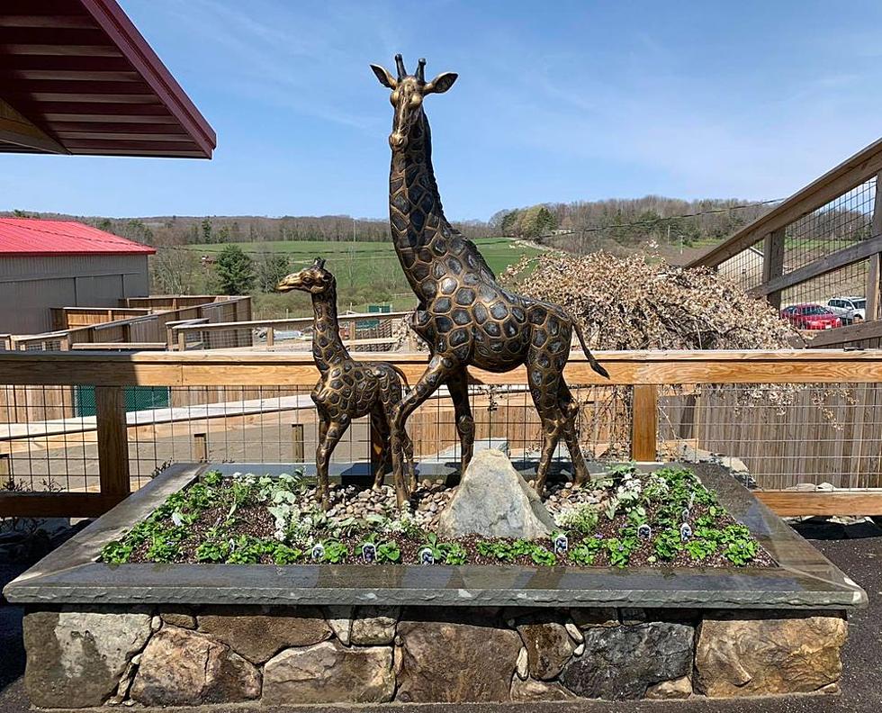 April Memorial Built At Animal Adventure Park In Harpursville, New York