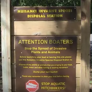 Boating This Summer? Help Prevent the Spread of Aquatic Invasive Species