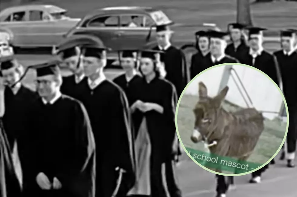 From Burro to Bearcat: Why The Old Binghamton Mascot Suddenly Got