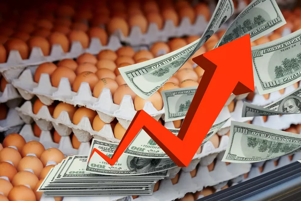 How Cheap Were Eggs in New York The Year You Were Born?