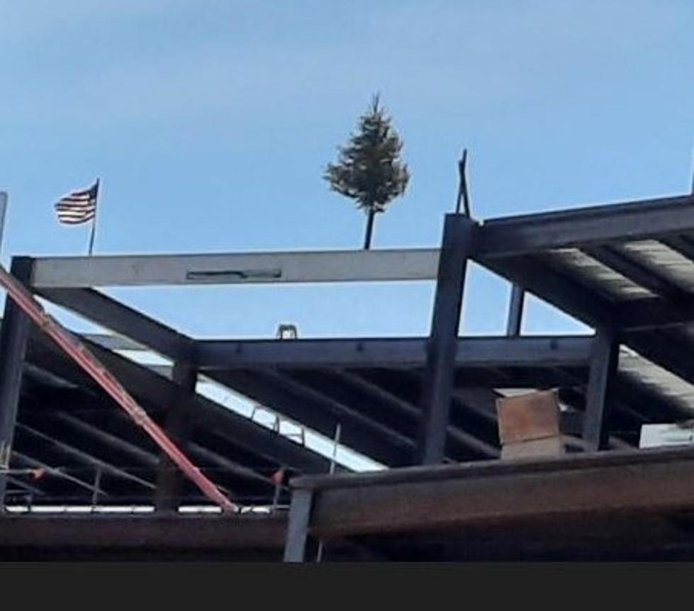 Why Is There A Tree On Top Of The Johnson City Wilson Hospital Construction Site?