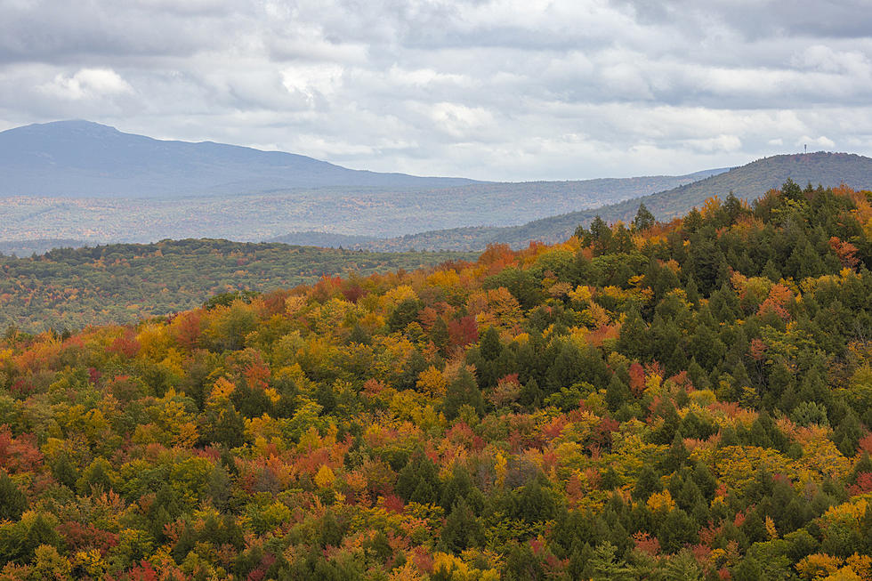 3 NYS Places In Top USA 150 To Witness The Best Fall Foliage
