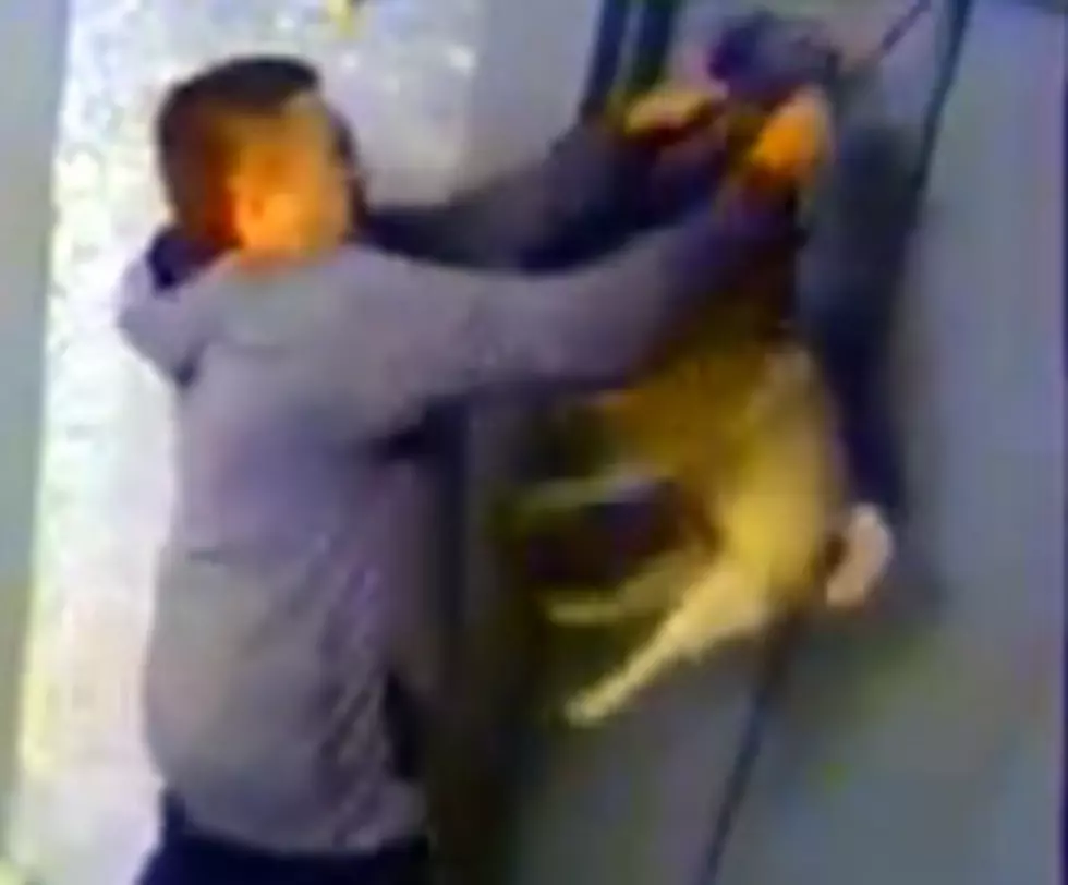 Man Saves Dog Caught In Elevator Door [VIDEO]