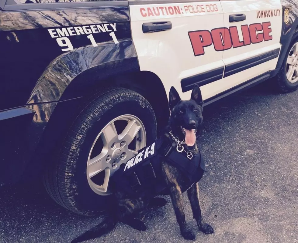 Johnson City Police K9 Gifted with Bullet and Stab Resistant Vest