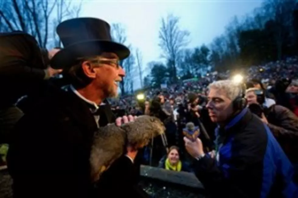 Groundhog Day Festivities Will Go On Despite Weather and COVID-19