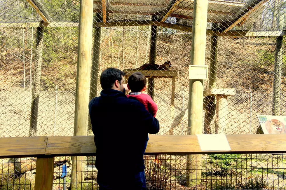 Take a Walk on the Wild Side and Celebrate Father’s Day at the Binghamton Zoo