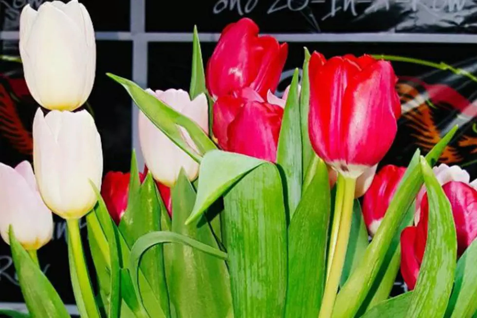 Five Valentine’s Day Flowers and What They Supposedly Mean