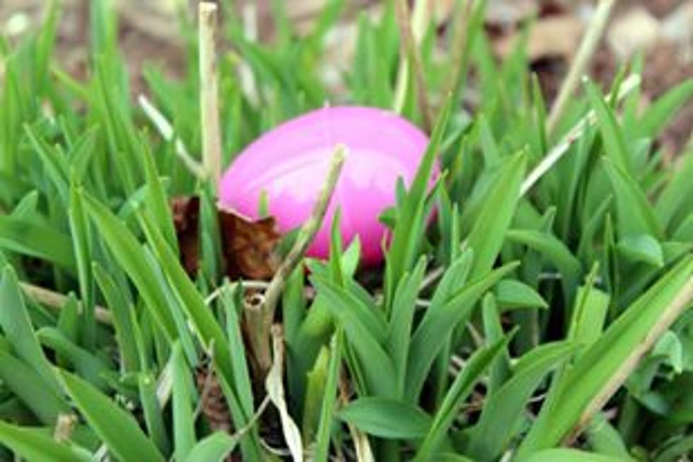 How to Plan a Fun and Fair Easter Egg Hunt