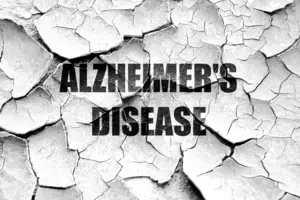 Alzheimer&#8217;s Disease Affects More Than One Person-At-A-Time