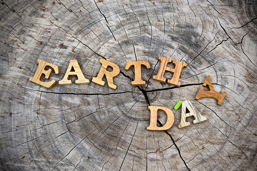 5 Simple Things You Can Celebrate Earth Day in the Southern Tier