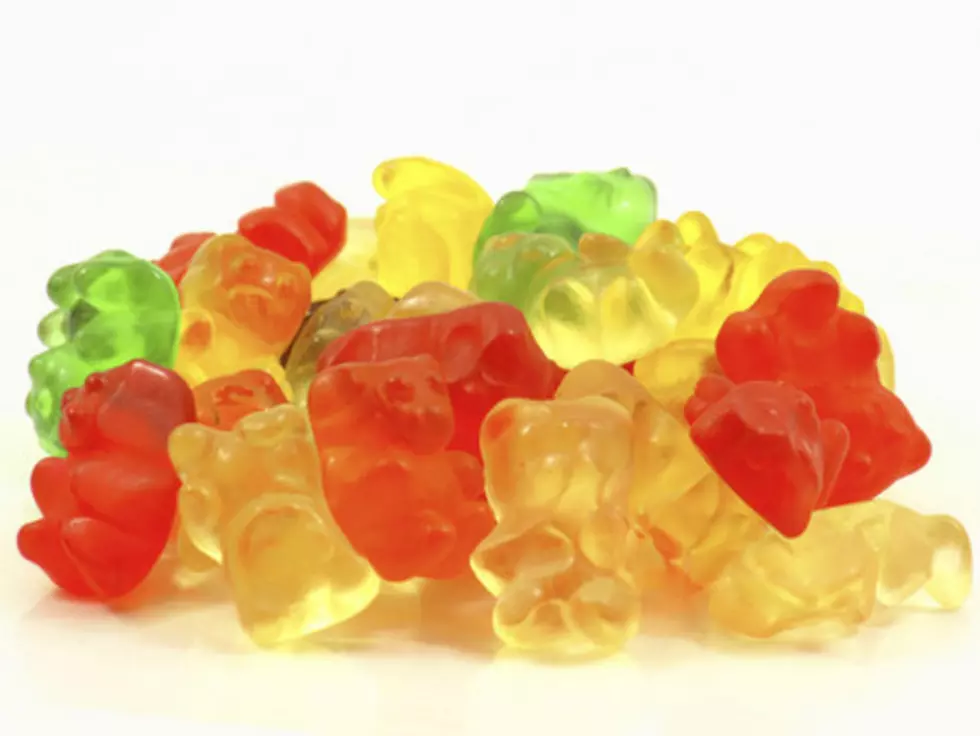 Champagne Soaked Gummy Bears [RECIPE]