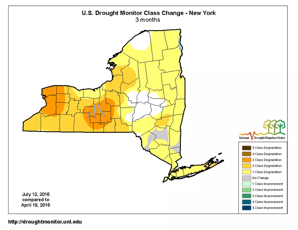 What Do Drought Conditions Mean For You in the Southern Tier