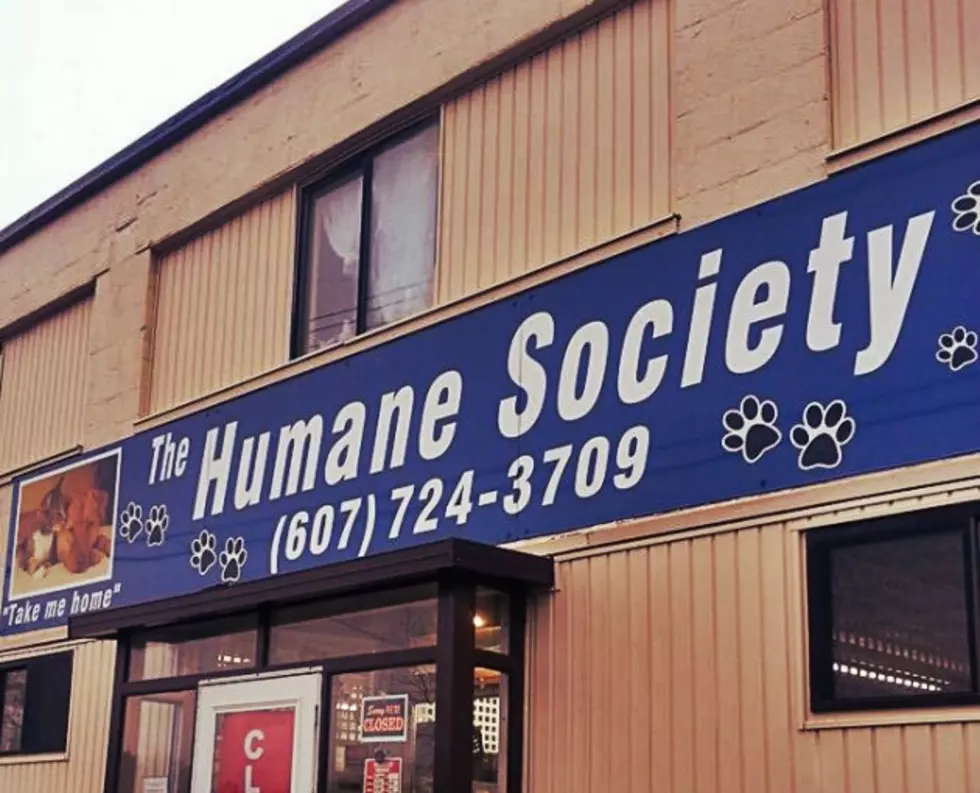 Helping the BC Humane Society