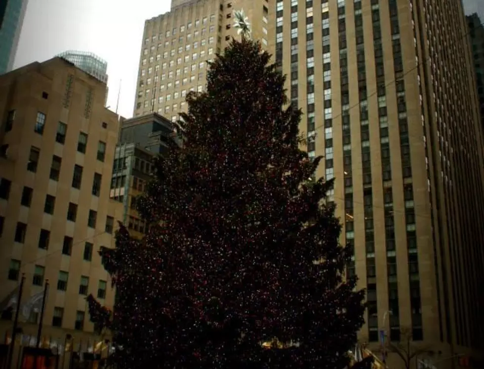 What Do They Do With the Christmas Tree in Rockefeller Center?