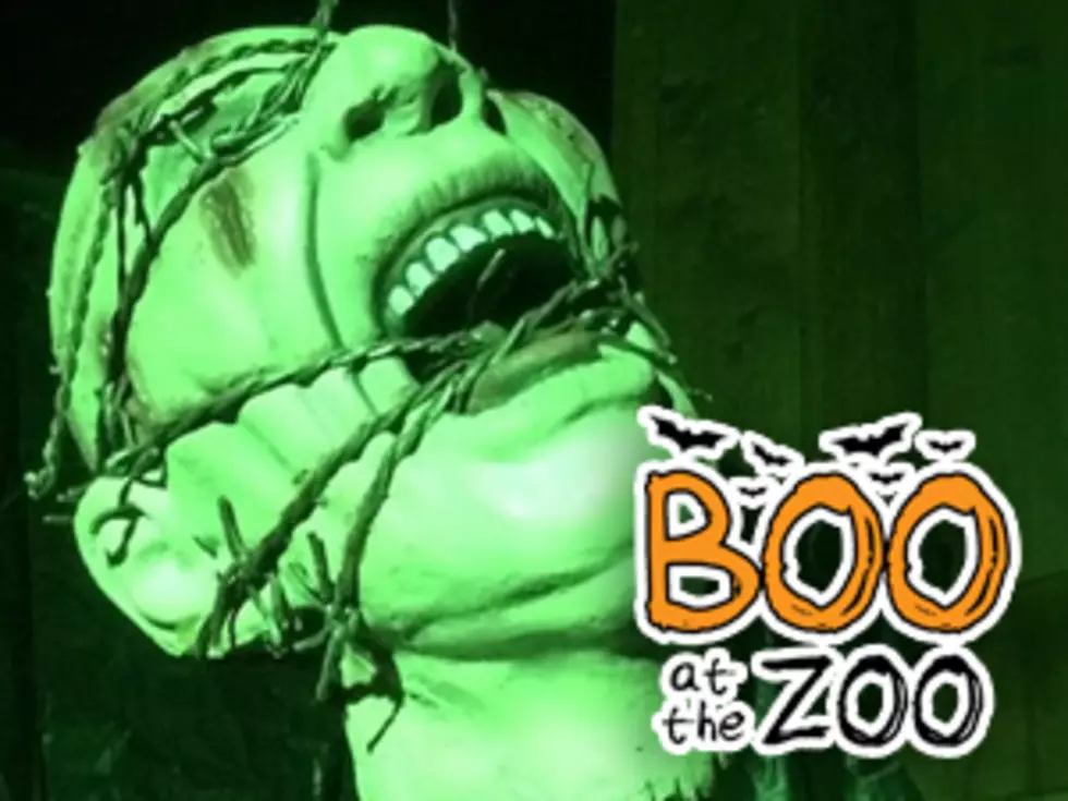 See What’s New at the ‘Boo at the Zoo’