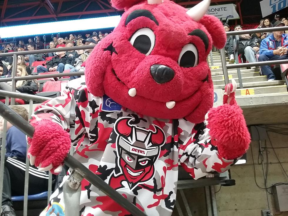 Get Free Binghamton Devils Ticket With Your Food Donation