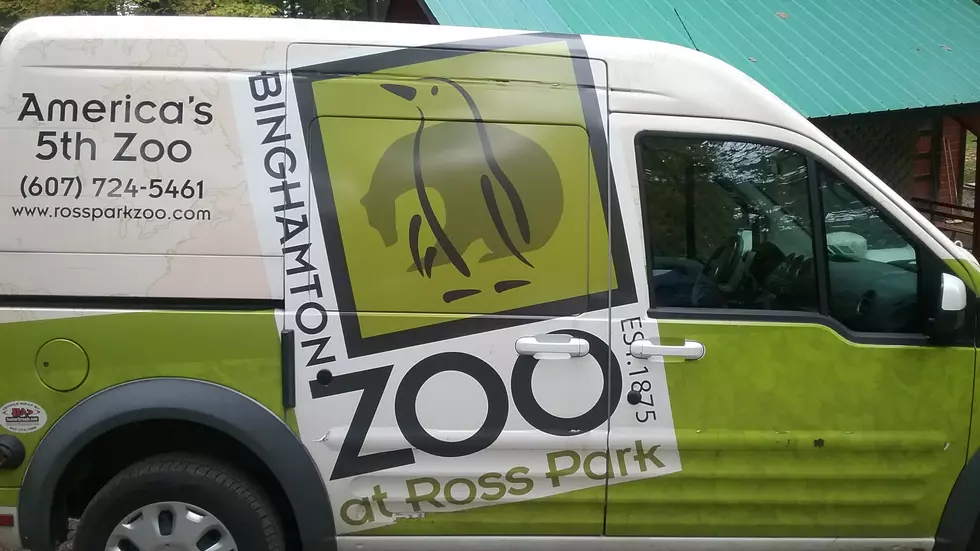 Binghamton Zoo Looking for a New Executive Director