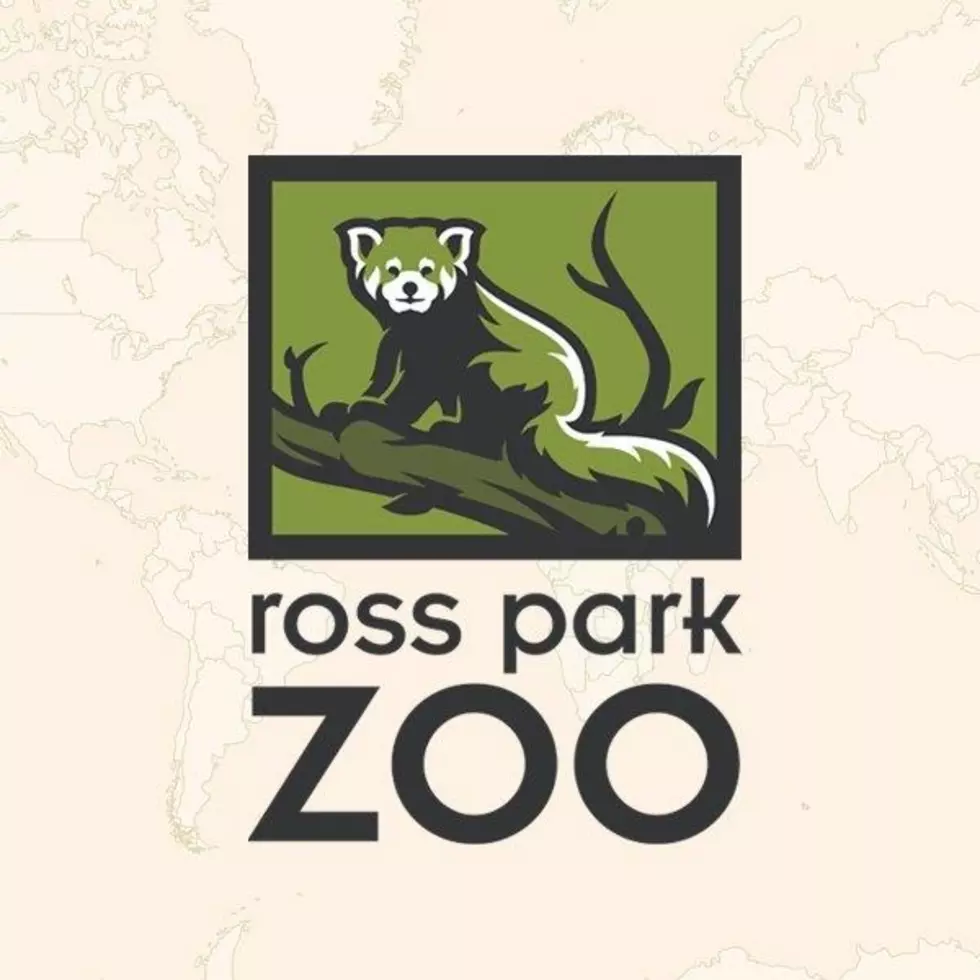 Ross Park Zoo Needs Your Support