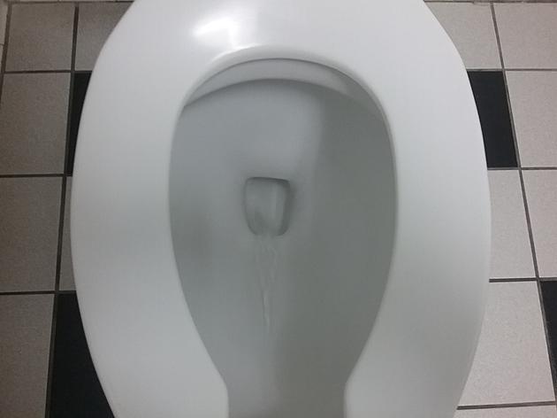 This Is Why You Don&#8217;t Want to Waste Toilet Water