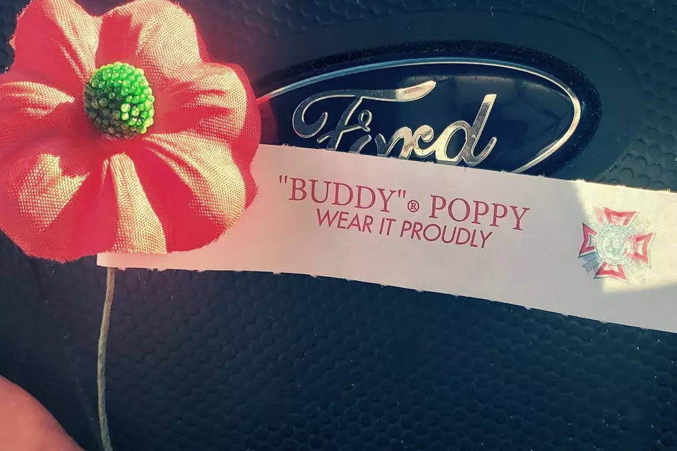 To the Montrose Stranger Who Gave Me His Buddy Poppy, You Have No Idea What It Meant to Me