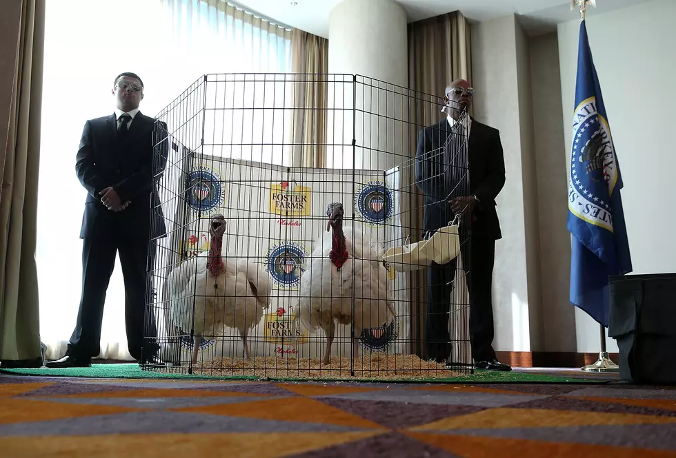 So, What’s the Deal With the Presidential Turkey Pardon Anyway? [GALLERY]