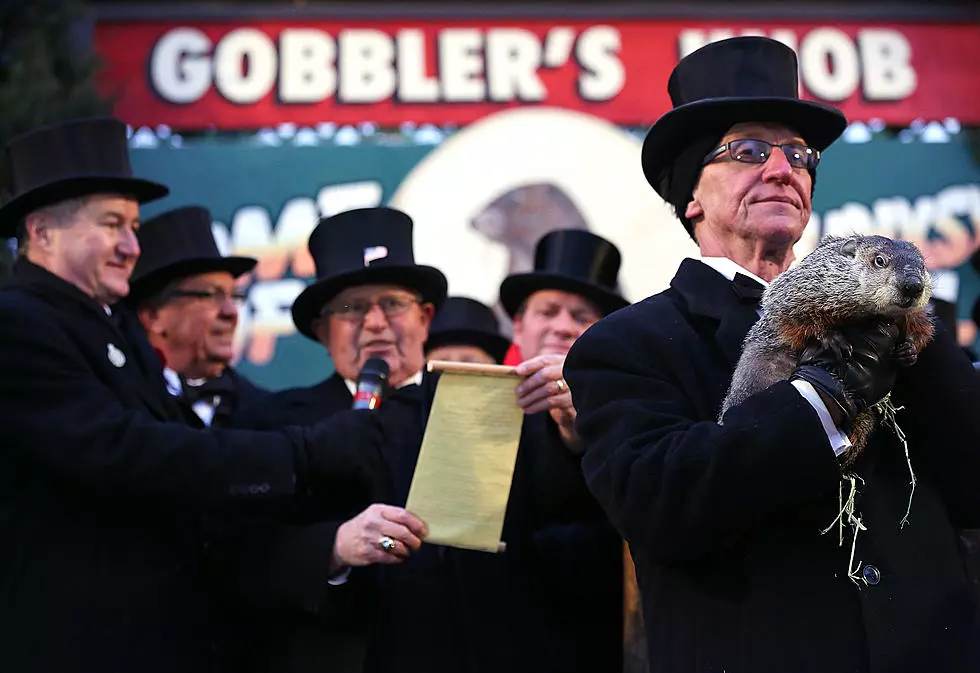 Punxsutawney Phil will be available virtually
