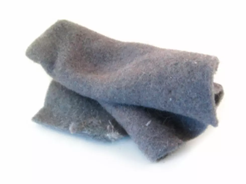 Don’t Just Toss Out Your Dryer Lint, Do This Instead