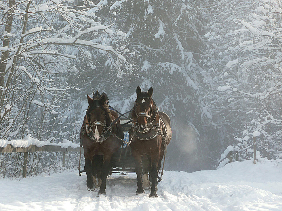 Usher In the Holiday Season With Free Horse Drawn Carriage Rides 