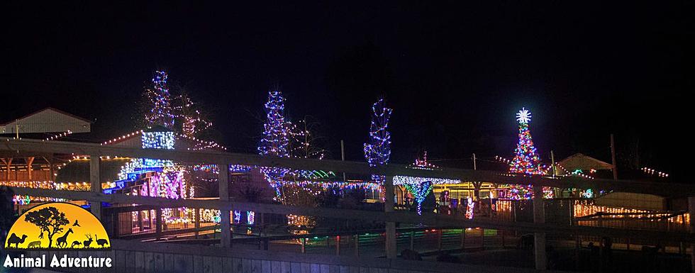 It’s a Jungle Out There! Animal Adventure Park In Harpursville Jungle Bells Holiday Lights Display