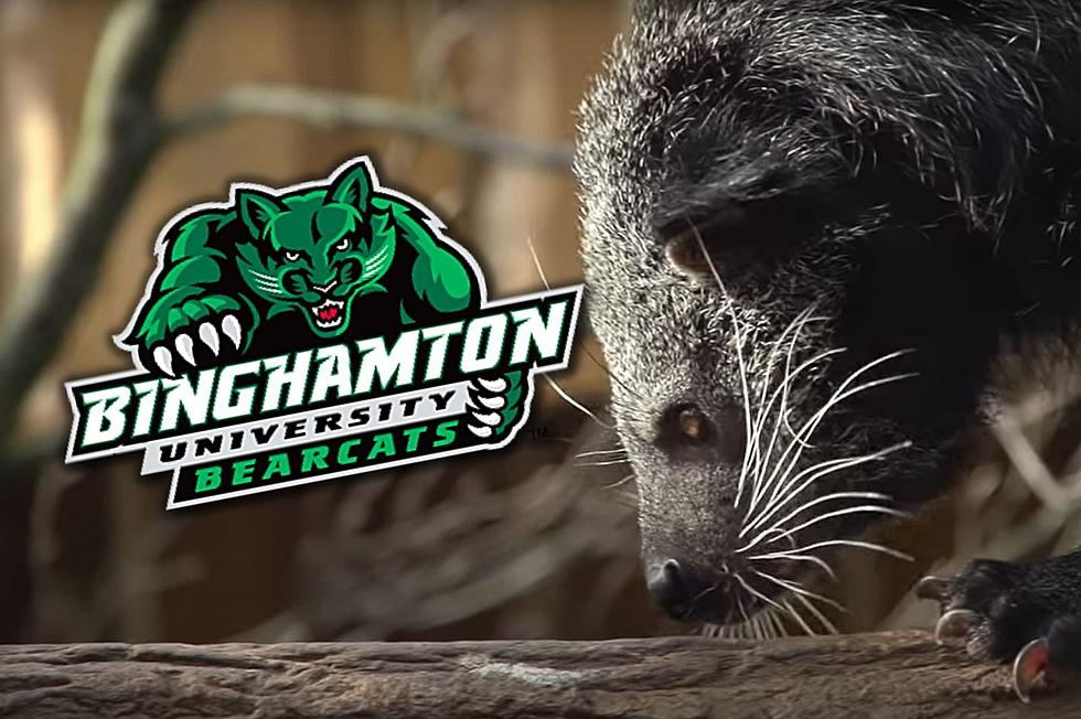 Binghamton University April Fools Prank Names 'New Mascot'