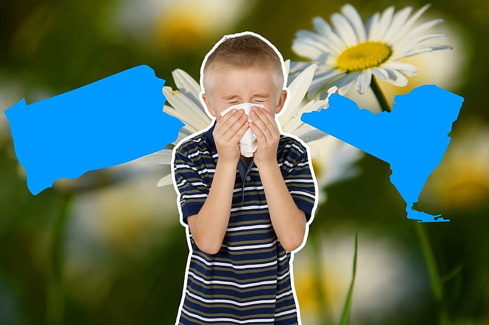 AH-CHOO! Here&#8217;s The Spring Allergy Forecast For New York and Pennsylvania