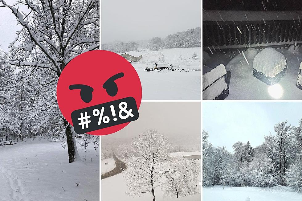 PHOTOS: Southern Tier's Last Snow Storm In April...We Hope