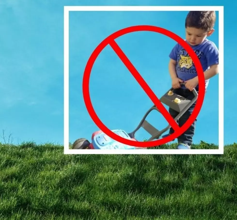 Mowing Your Lawn Before June In New York Could Be Dangerous