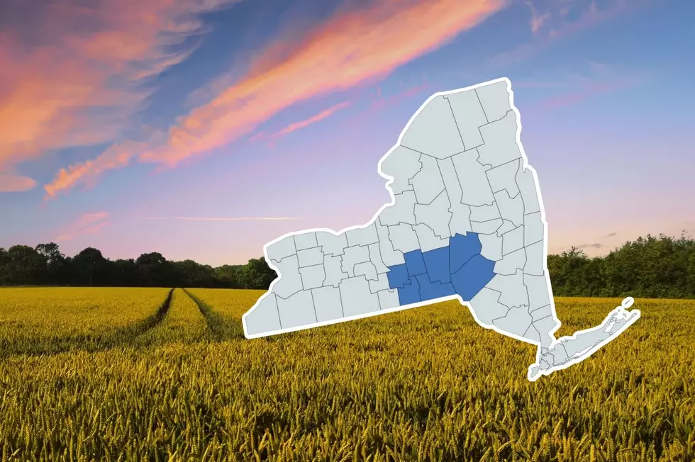 We Need It! Southern Tier Agriculture Could Get A Boost From This